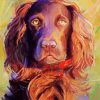 Boykin Spaniel Art Diamond Painting