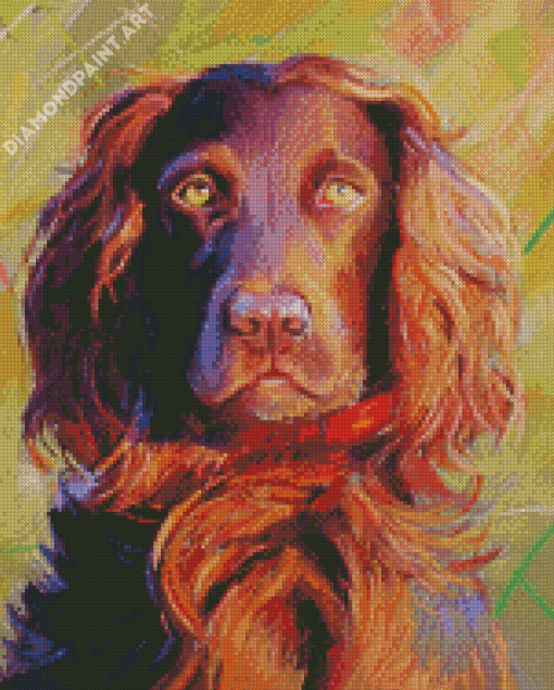 Boykin Spaniel Art Diamond Painting