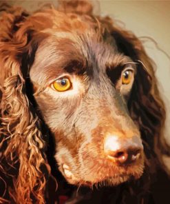 Boykin Spaniel Dog Diamond Painting