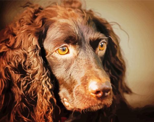 Boykin Spaniel Dog Diamond Painting