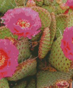 Cactus Plant With Pink Roses Diamond Painting