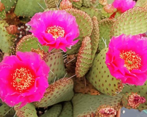 Cactus Plant With Pink Roses Diamond Painting