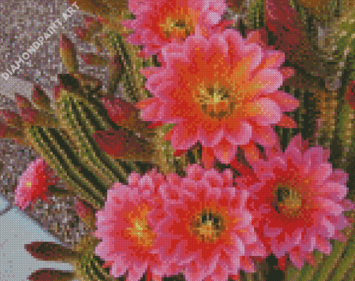 Cactus With Pink Roses Diamond Painting