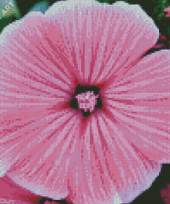 Close Up Pink Flowers Diamond Painting