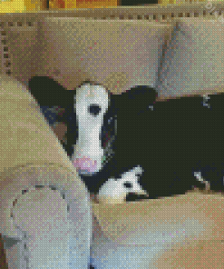 Cow On A Couch Diamond Painting