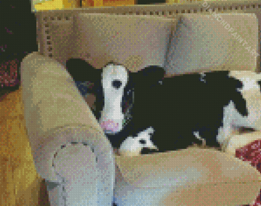 Cow On A Couch Diamond Painting