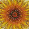 Golden Flower Diamond Painting