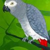 Grey Parrot Diamond Painting