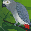 Grey Parrot Diamond Painting