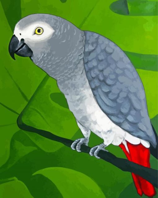 Grey Parrot Diamond Painting