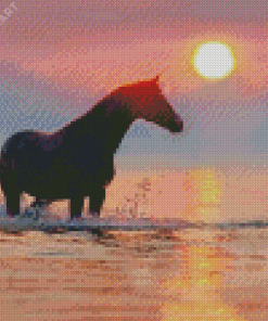 Horse In Water At Sunset Diamond Painting