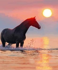 Horse In Water At Sunset Diamond Painting