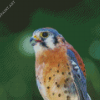 Kestrel Bird Diamond Painting