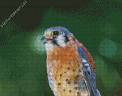 Kestrel Bird Diamond Painting