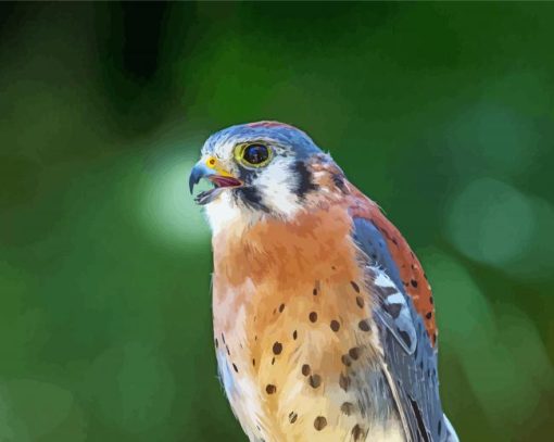 Kestrel Bird Diamond Painting