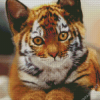 Kitten Tiger Diamond Painting