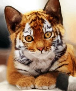 Kitten Tiger Diamond Painting