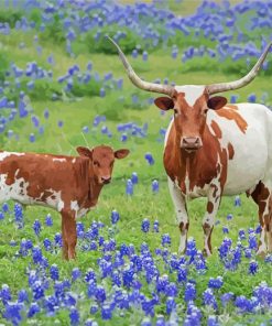 Longhorn And Calf In Bluebonnets Diamond Painting