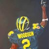 Michigan Wolverine Football Art Illustration Diamond Painting