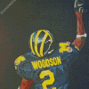 Michigan Wolverine Football Art Illustration Diamond Painting