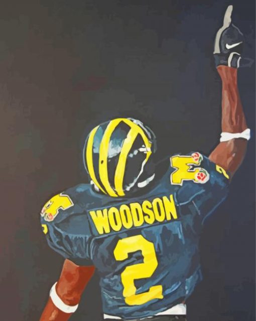 Michigan Wolverine Football Art Illustration Diamond Painting