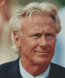 Old Bjorn Borg Diamond Painting