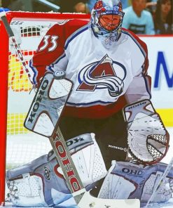 Patrick Roy Hockey Player Diamond Painting