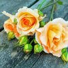 Peach Roses Diamond Painting