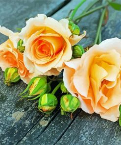 Peach Roses Diamond Painting