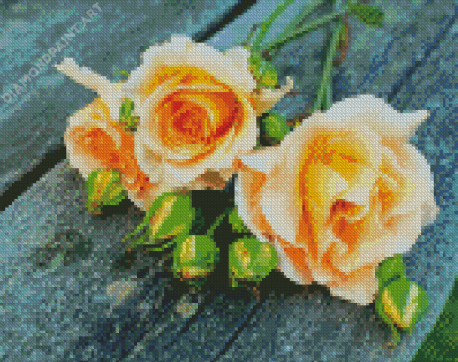 Peach Roses Diamond Painting