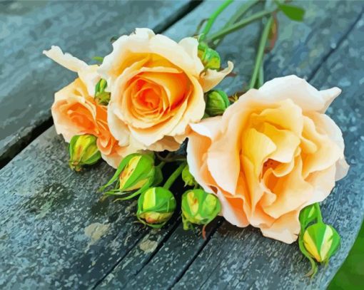 Peach Roses Diamond Painting