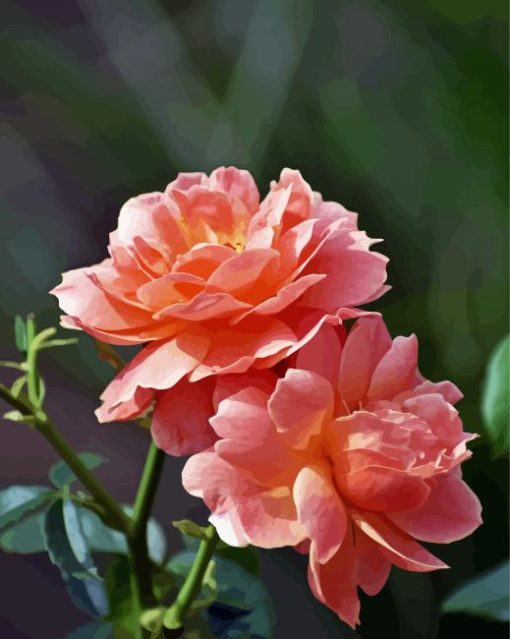 Peach Roses Flowers Plant Diamond Painting