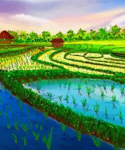 Rice Field Diamond Painting