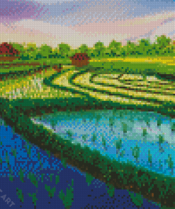 Rice Field Diamond Painting