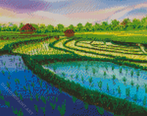 Rice Field Diamond Painting