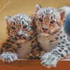 Snow Leopard Cubs Diamond Painting