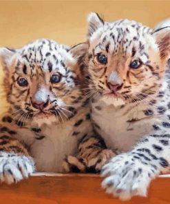 Snow Leopard Cubs Diamond Painting