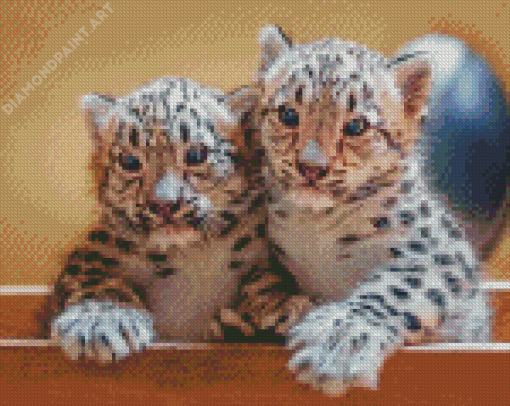 Snow Leopard Cubs Diamond Painting