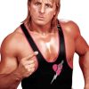 WWE Owen Hart Diamond Painting