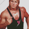 WWE Owen Hart Diamond Painting