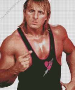 WWE Owen Hart Diamond Painting