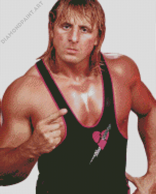 WWE Owen Hart Diamond Painting