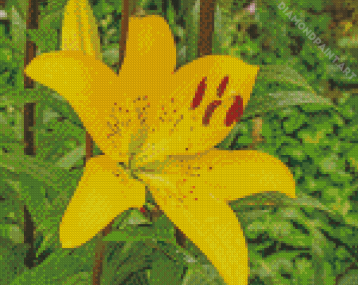 Yellow Lily Diamond Painting