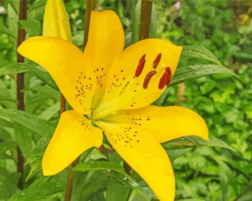 Yellow Lily Diamond Painting