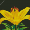 Yellow Lily Flower Plant Diamond Painting