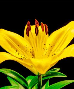 Yellow Lily Flower Plant Diamond Painting