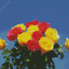 Yellow And Pink Roses Flowers Diamond Painting