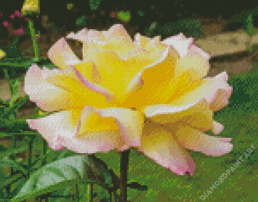 Yellow Pink Peace Roses Diamond Painting