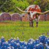 Aesthetic Bluebonnet And Longhorn Diamond Painting