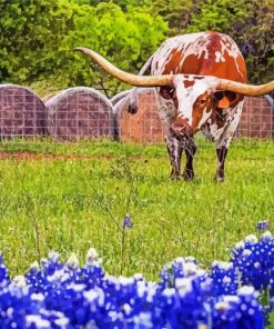 Aesthetic Bluebonnet And Longhorn Diamond Painting